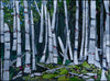 Enchanted Forest