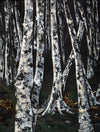 Moonlighting Mixed Media Painting